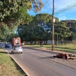 Cavalo morre após ser atropelado por carro em via do DF