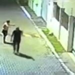 Cadela foge, ataca criança de 10 anos e é morta a tiros por CAC no DF